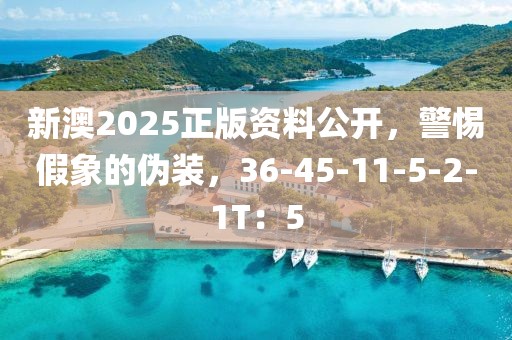 新澳2025正版资料公开，警惕假象的伪装，36-45-11-5-2-1T：5